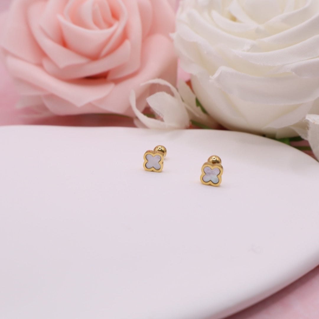 Pendientes con cierre de rosca (broqueles) en acero inoxidable.