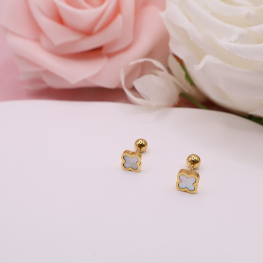 Pendientes con cierre de rosca (broqueles) en acero inoxidable.