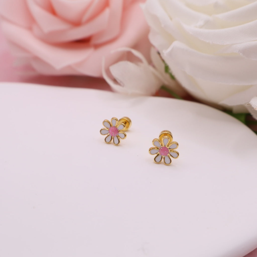 Pendientes con cierre de rosca (broqueles) en acero inoxidable.