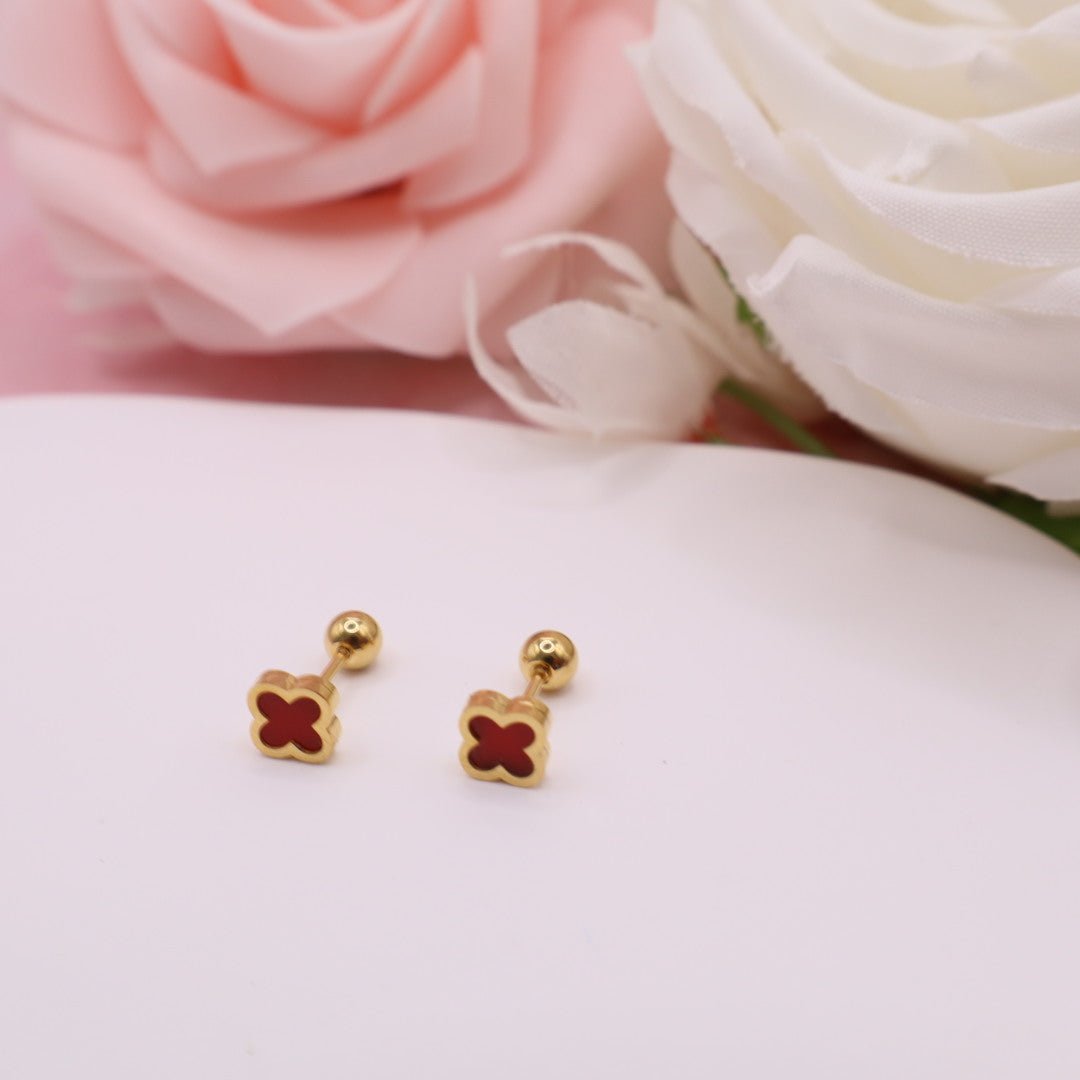 Pendientes con cierre de rosca (broqueles) en acero inoxidable.