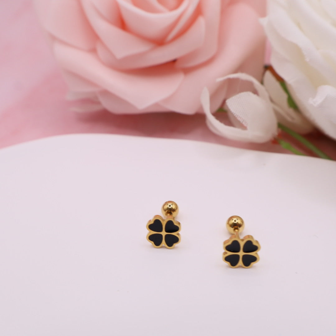 Pendientes con cierre de rosca (broqueles) en acero inoxidable.